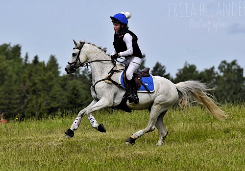 Kuva: Friia Helander